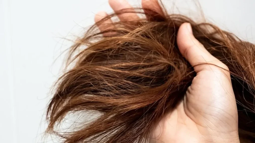 Cara Merawat Rambut Kering dan bercabang